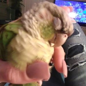 Meet your Posher, Eva